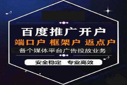 案例研究：SEM代运营服务公司的创新策略